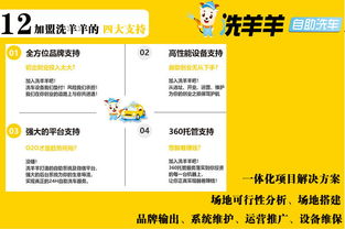 洗羊羊24小時自助洗車 智能時代下的投資新機遇與企業(yè)管理升級